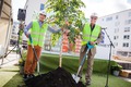 Jonas Nygren och Göran Wendel tar första spadtaget för Tornets nya bostadsprojekt i Sundbyberg.